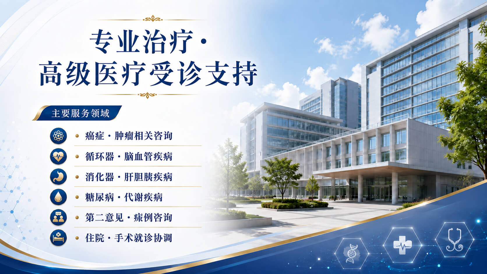 专科治疗・先进医疗就医支持